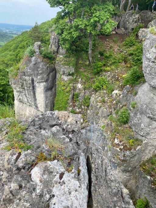 Laendliche Fewo Wildblume, 4 Km Zum Stausee Happurg Exterior foto